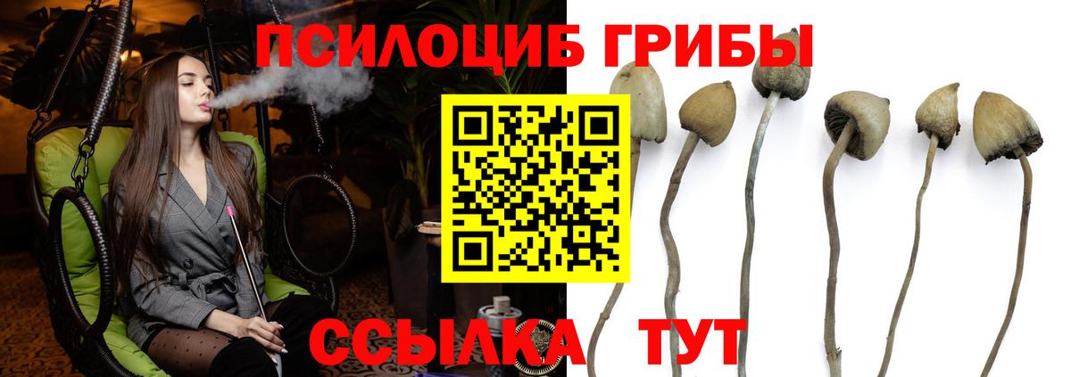 Каменск-Уральский  Псилоцибиновые грибы прущие грибы  наркота  Псилоцибиновые грибы GOLDEN TEACHER  Вход с VPN 